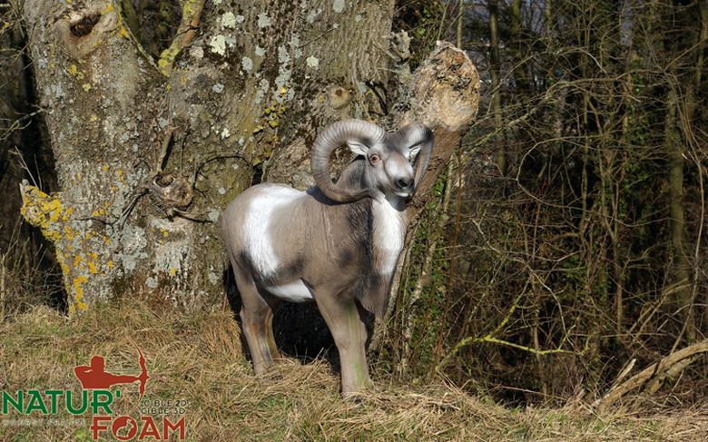 ram natur foam