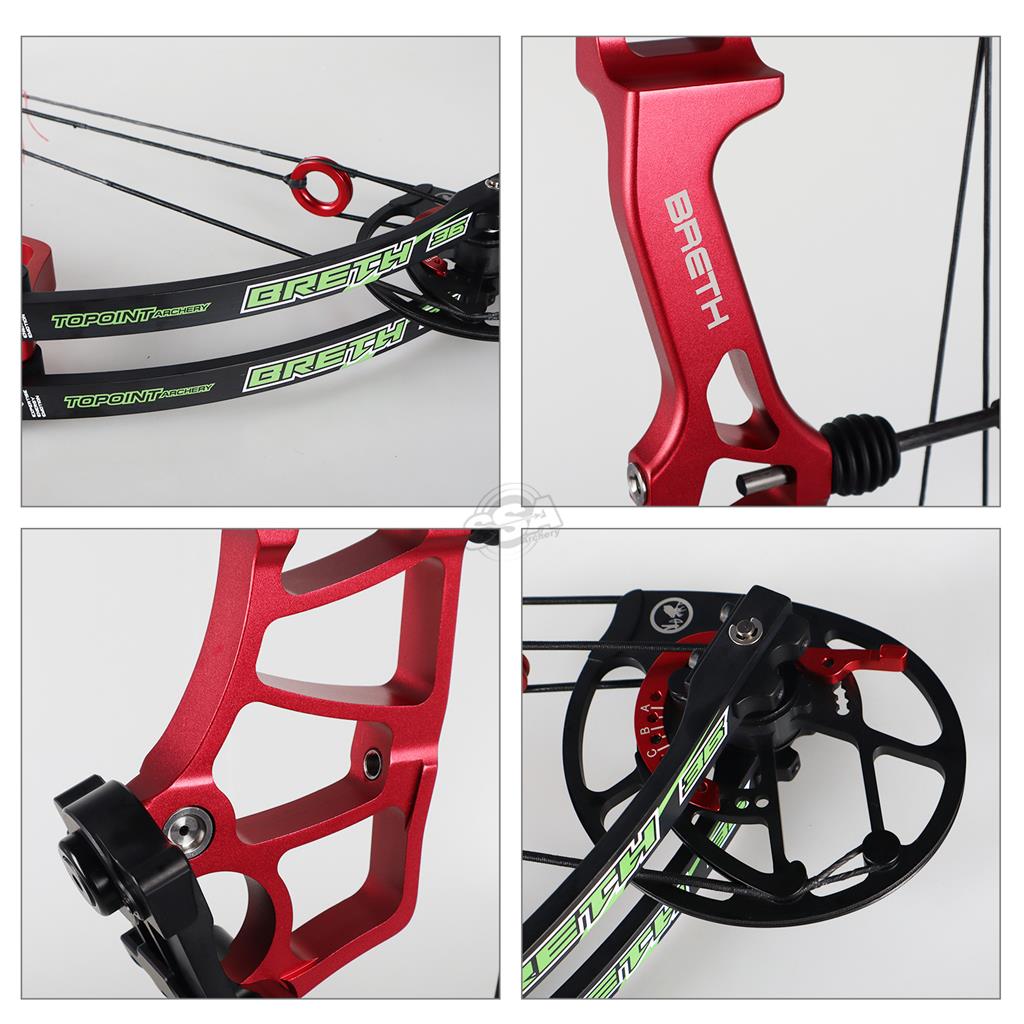 VARIANTS OF TOPOINT BRETH 36 CAM 2 SD COMPOUND BOW cams